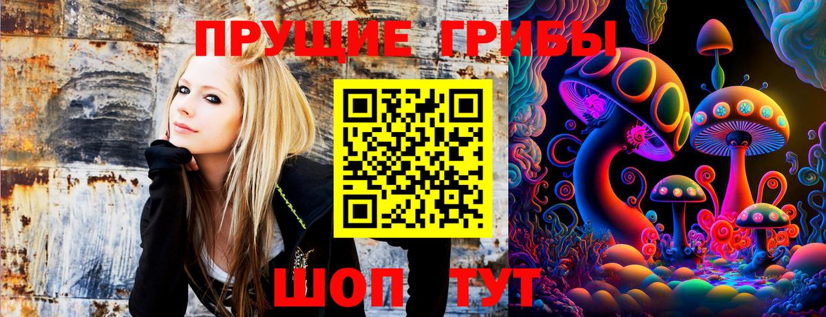 продажа наркотиков  Вход с VPN  Оренбург  Галлюциногенные грибы MAGIC MUSHROOMS 