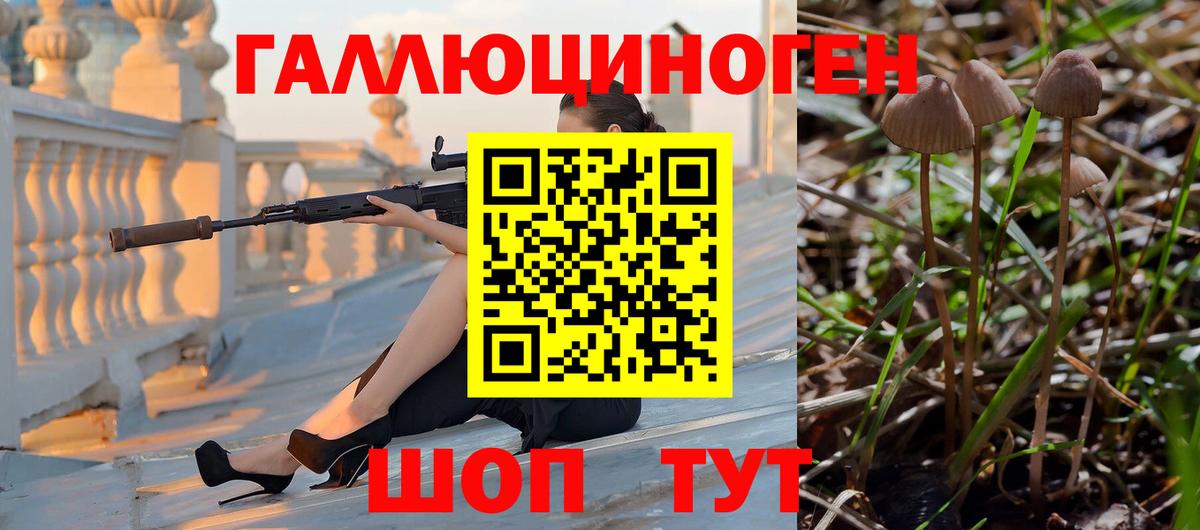 Галлюциногенные грибы прущие грибы Оренбург